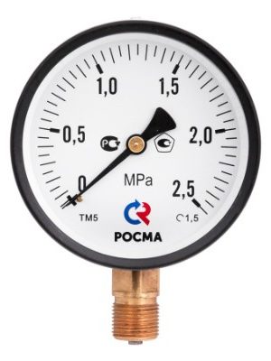 Манометр TM-310P Dy 63 с нижним подключением 1/4", 0-10 бар (кл. точн. 2,5)